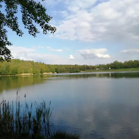 Urlaub Im Neuseenland * Frohburg