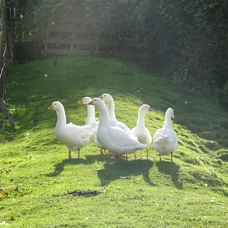 Urlaub Im Neuseenland Frohburg