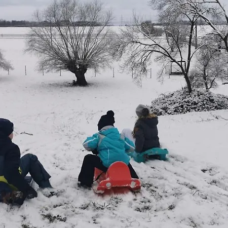 Urlaub Im Neuseenland Frohburg