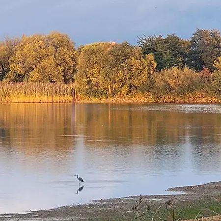 Apartment Urlaub Im Neuseenland *