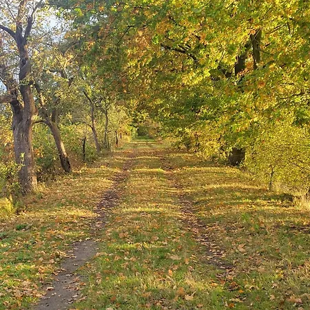 Apartment Urlaub Im Neuseenland *