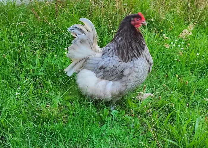 Appartamento Urlaub Im Neuseenland Frohburg