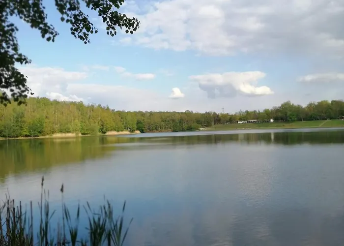 Urlaub Im Neuseenland * Frohburg