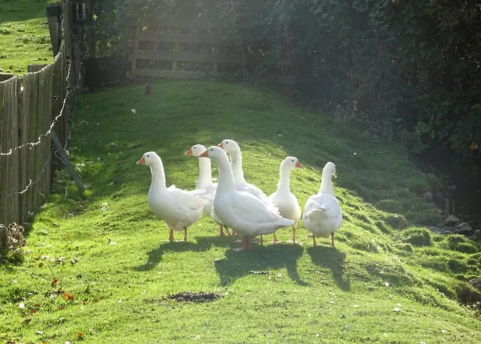 Urlaub Im Neuseenland Frohburg