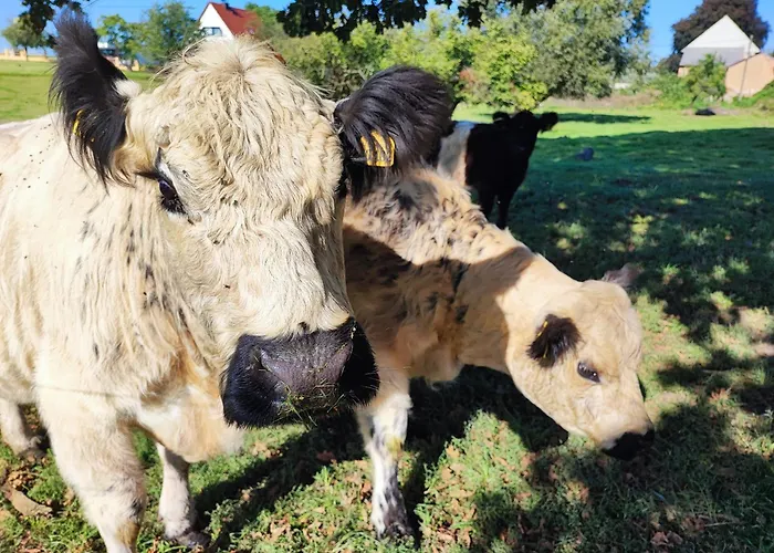 Appartamento Urlaub Im Neuseenland