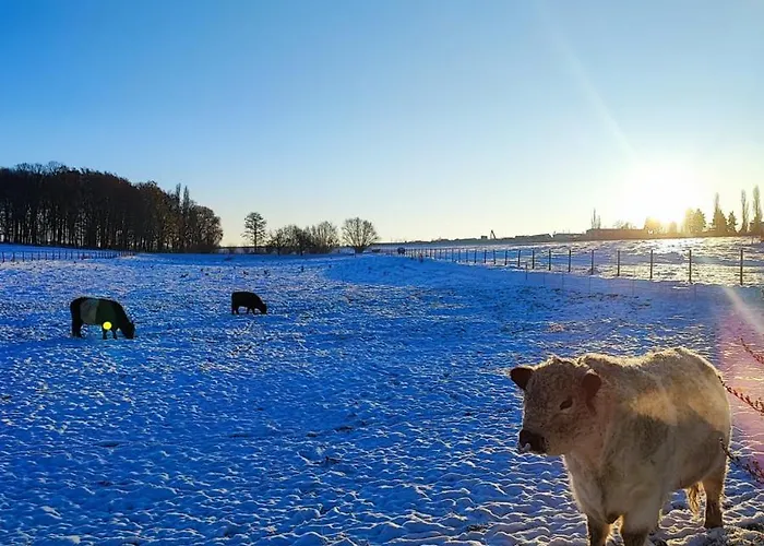 Appartamento Urlaub Im Neuseenland *