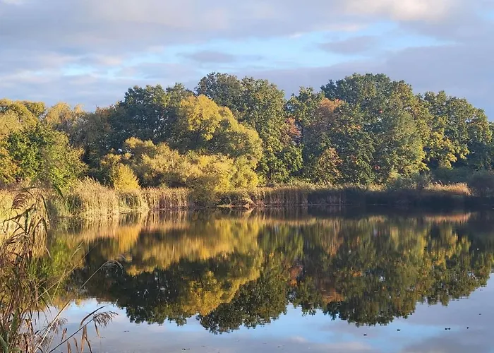 Urlaub Im Neuseenland Appartamento *