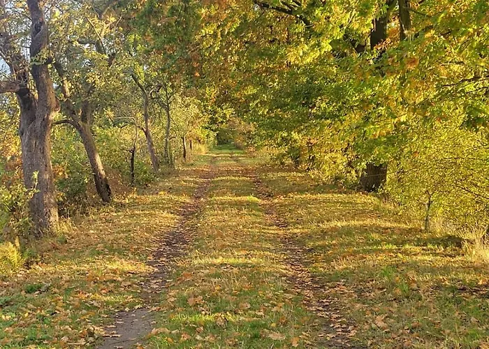 Appartamento Urlaub Im Neuseenland *